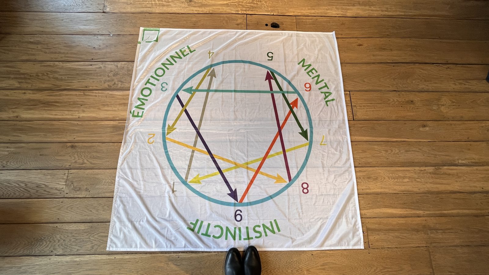 Le diagramme de l'Ennéagramme imprimé sur une toile posée au sol, ses neuf bases numérotées reliées par des flèches de couleur, réparties entre les centres émotionnel, mental et instinctif